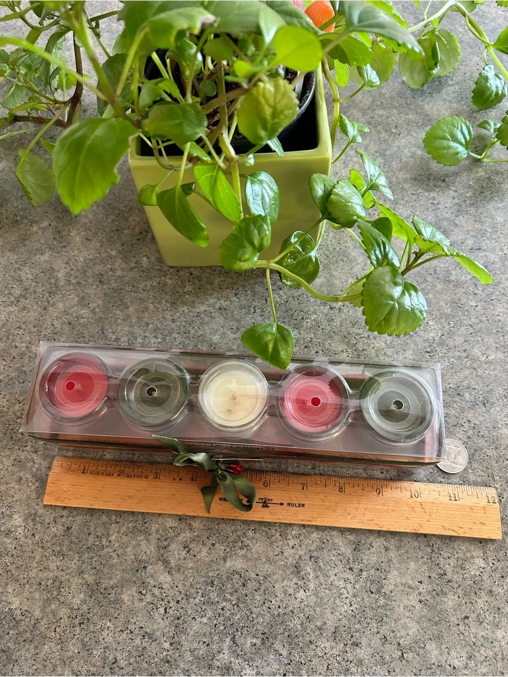 🕯️ [Modern Light] Christmas Candles, Set of 5 Apple Cinnamon, Pine Western Decor